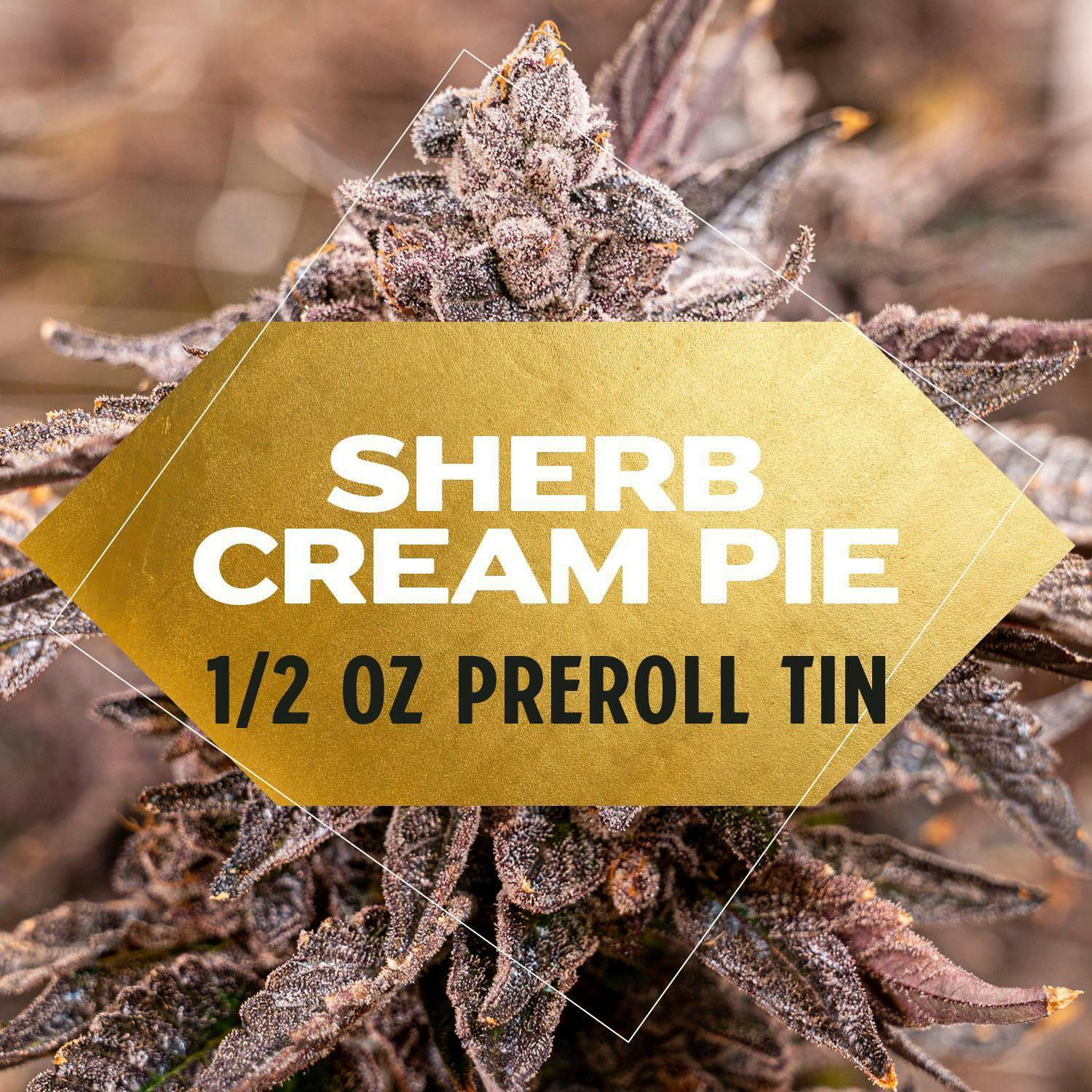 Yani - 1/2 oz Pre Roll Tin: Sherb Cream Pie - 1