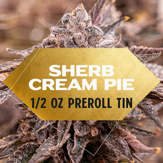 Yani - 1/2 oz Pre Roll Tin: Sherb Cream Pie - 1