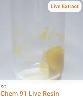 Seed of Life Labs - Seed of Life Labs - Chem 91 Live Resin Concentrate 1g - 1