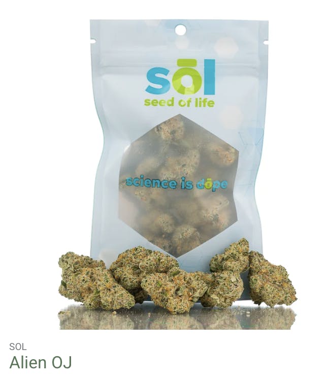 Seed of Life Labs - Seed of Life Labs - Alien OJ Deli Style Flower - 1