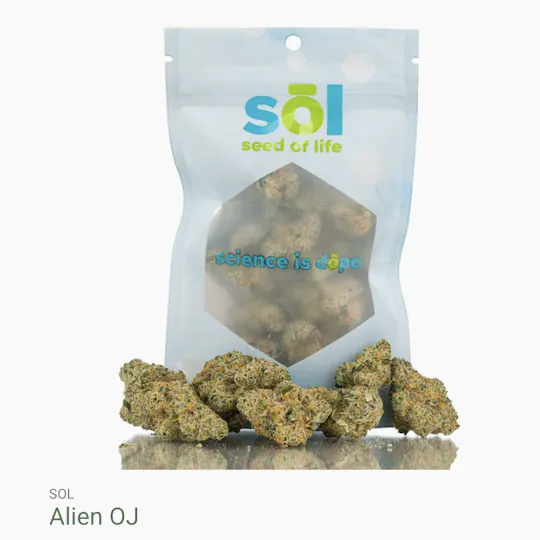 Seed of Life Labs - Seed of Life Labs - Alien OJ Deli Style Flower - 1