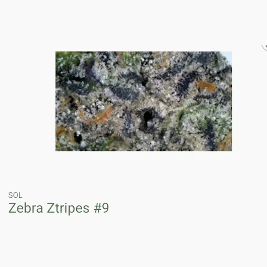 Seed of Life Labs - Seed of Life Labs - Zebra Ztripes #9 Deli Style Flower - 1