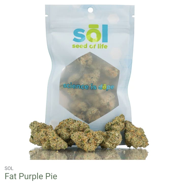 Seed of Life Labs - Seed of Life Labs - Fat Purple Pie Deli Style Flower - 1