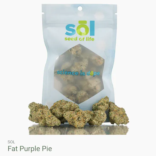 Seed of Life Labs - Seed of Life Labs - Fat Purple Pie Deli Style Flower - 1