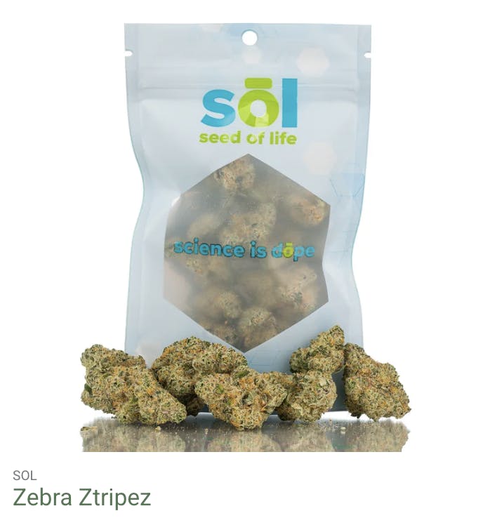 Seed of Life Labs - Seed of Life Labs - Zebra Ztripez Deli Style Flower - 1