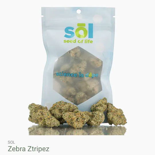 Seed of Life Labs - Seed of Life Labs - Zebra Ztripez Deli Style Flower - 1