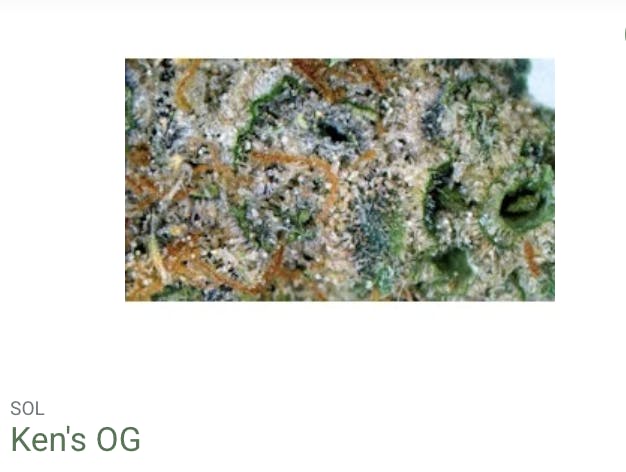 Seed of Life Labs - Seed of Life Labs - Ken's OG Deli Style Flower - 1