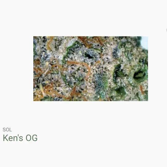 Seed of Life Labs - Seed of Life Labs - Ken's OG Deli Style Flower - 1