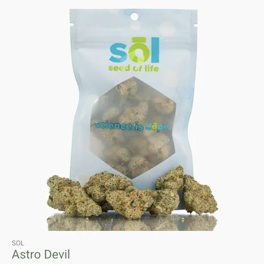 Seed of Life Labs - Seed of Life Labs - Astro Devil Deli Style Flower - 1