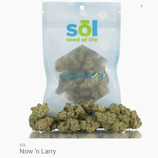 Seed of Life Labs - Seed of Life Labs - Now 'n Larry Deli Style Flower - 1