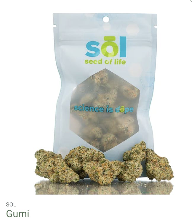 Seed of Life Labs - Seed of Life Labs - Gumi Deli Style Flower - 1