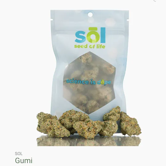 Seed of Life Labs - Seed of Life Labs - Gumi Deli Style Flower - 1