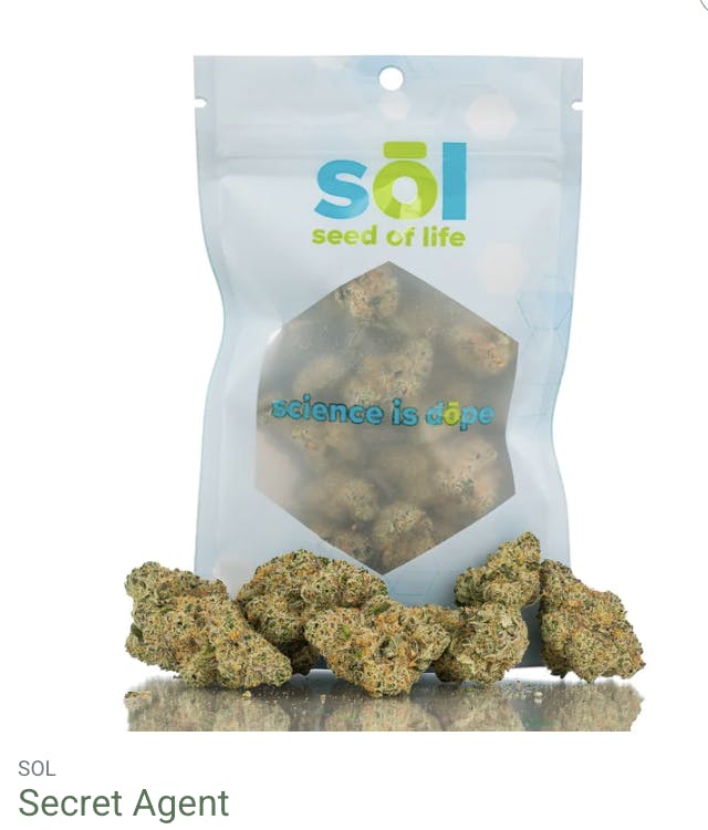 Seed of Life Labs - Seed of Life Labs - Secret Agent Deli Style Flower - 1