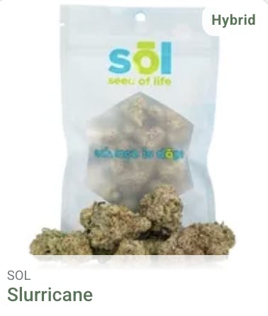 Seed of Life Labs - Seed of Life Labs - Slurricane Deli Style Flower - 1