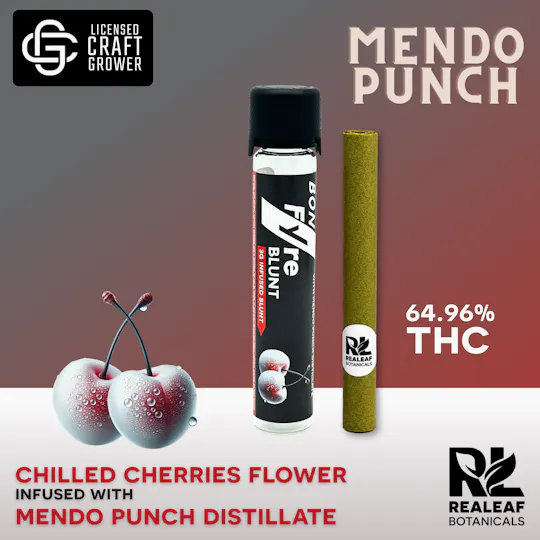Realeaf Botanicals - Mendo Punch Infused Blunt 3g - 1