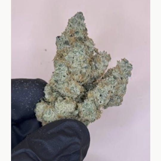 1889 Farms - Strawberry Guava | Flower 7g - 1