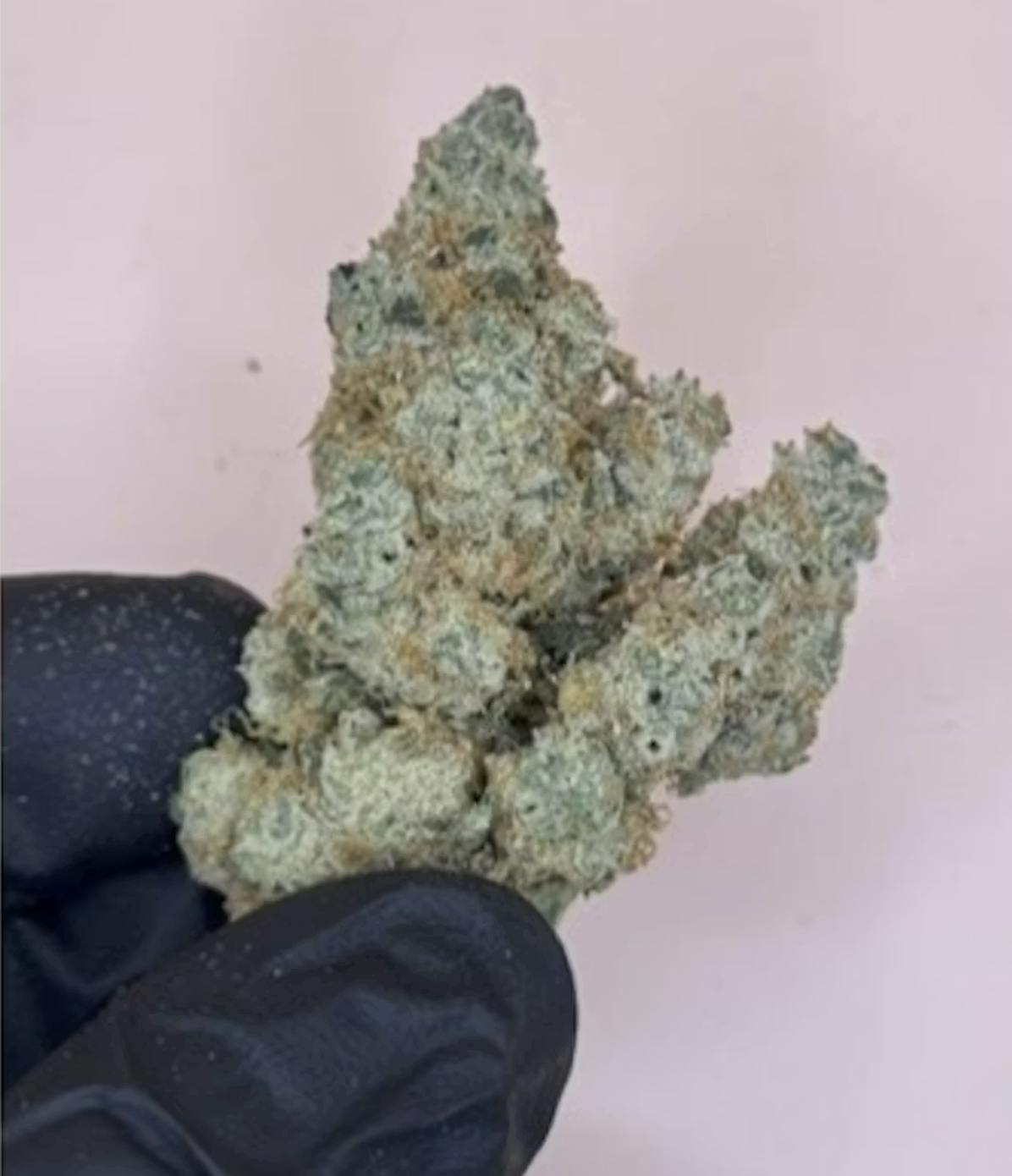 1889 Farms - Strawberry Guava | Flower 3.5g - 1