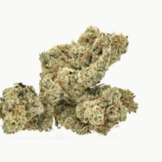 1889 Farms - Memory Loss | Flower 1g - 1