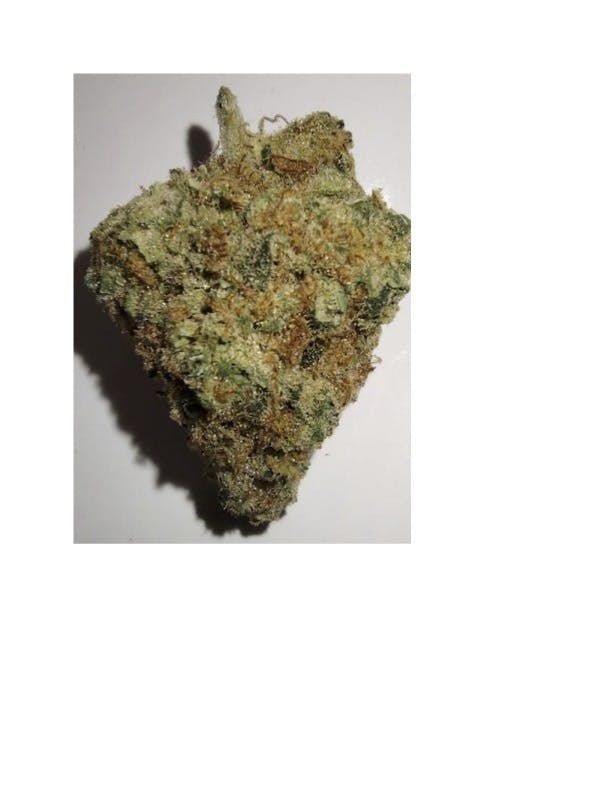 1889 Farms - Golden Putang | Flower 3.5g - 1