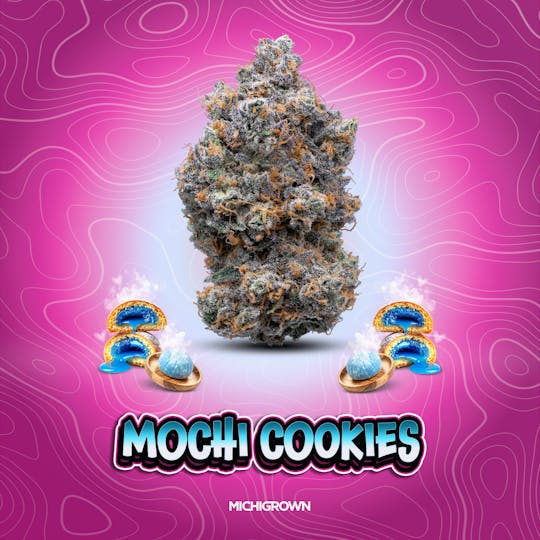 MICHIGROWN - MOCHI COOKIE - 3.5 GRAMS - PREMIUM FLOWER - JARS - 1