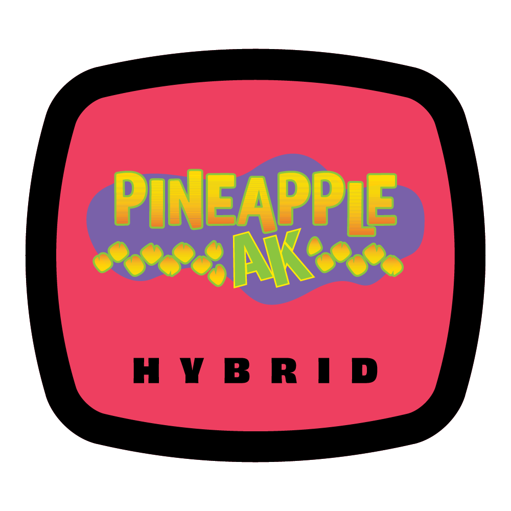 93 Boyz - Pineapple AK – Rellos – Infused Blunt – 1.5g - 1