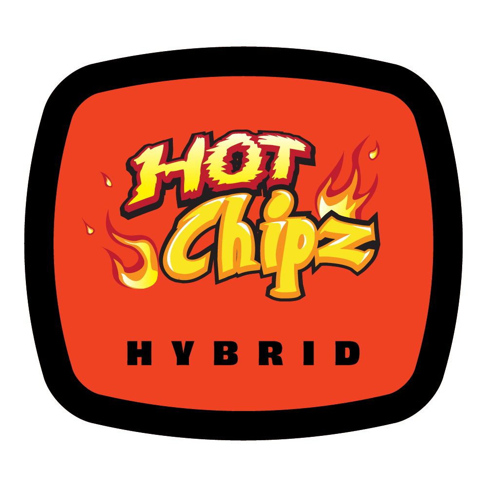 93 Boyz - Hot Chipz – Rellos – Infused Blunt – 1.5g - 1