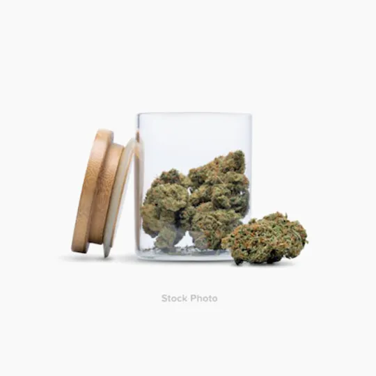 Above All Greenery - Brand - Blueberry Muffin Bulk Flower - 1