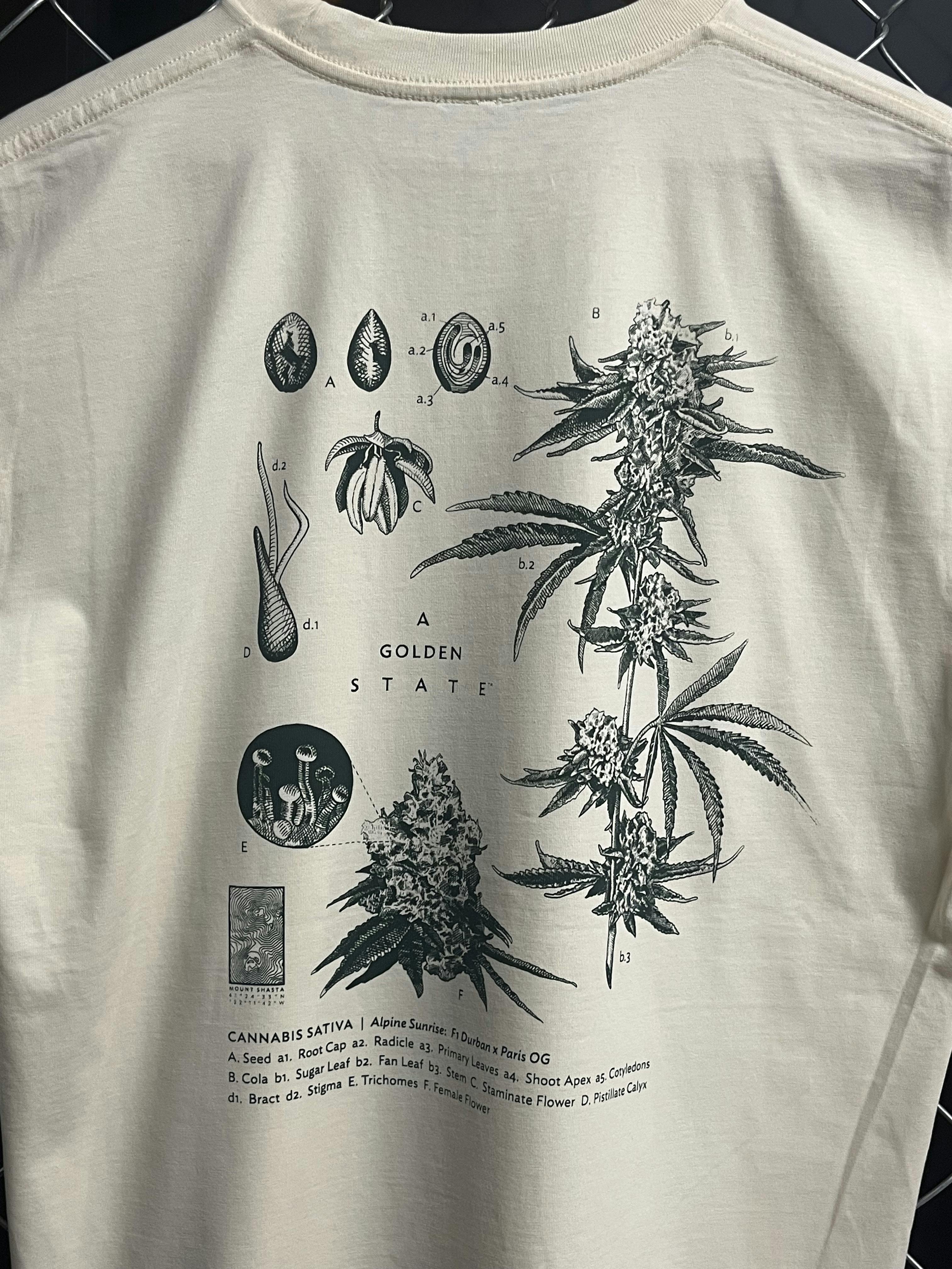 A Golden State - Taxonomy – T-Shirt – Extra Large - 1