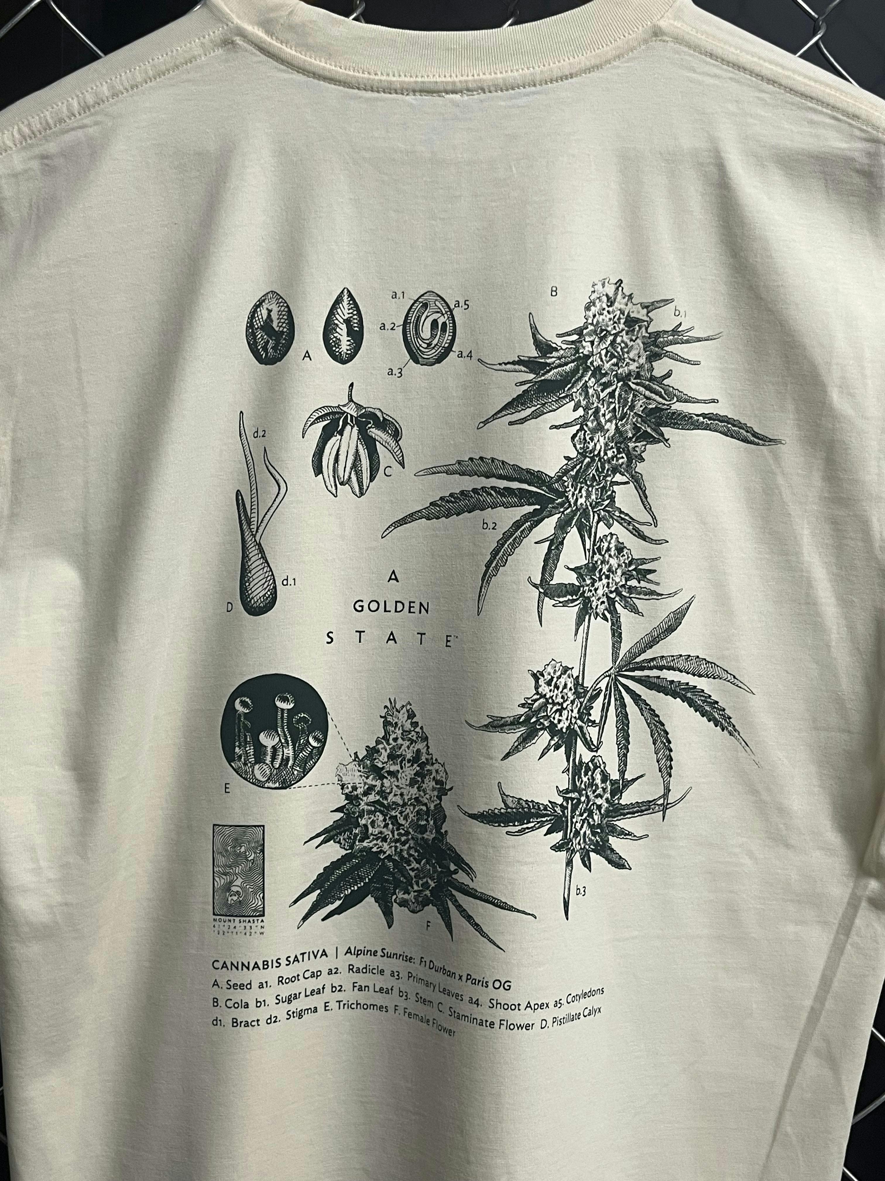 A Golden State - A Golden State | Taxonomy T-Shirt | Shirts | Extra Extra Large - 1