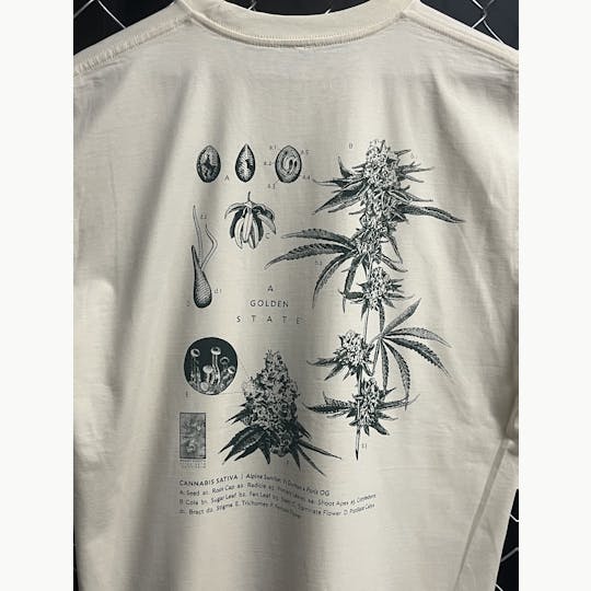 A Golden State - Taxonomy – T-Shirt – Large - 1