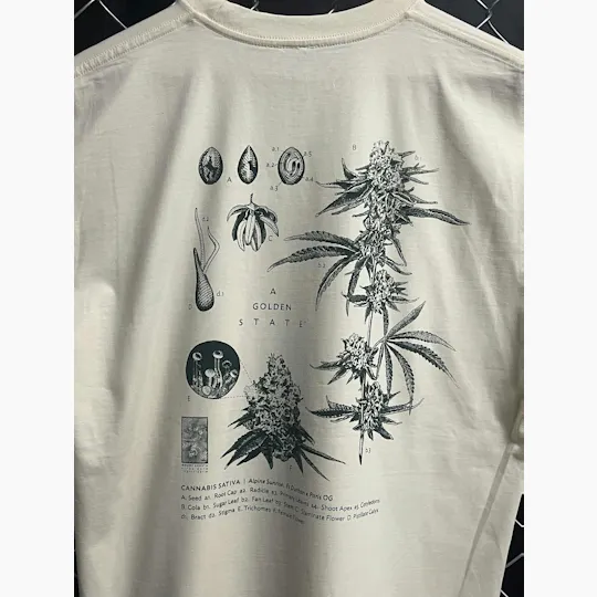 A Golden State - A Golden State | Taxonomy T-Shirt | Shirts | Medium - 1