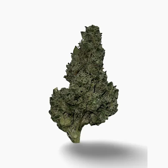 Indico - Pineapple Fruzz - Indico - 1