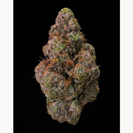 Recreational Habits - Trop Runtz - 1