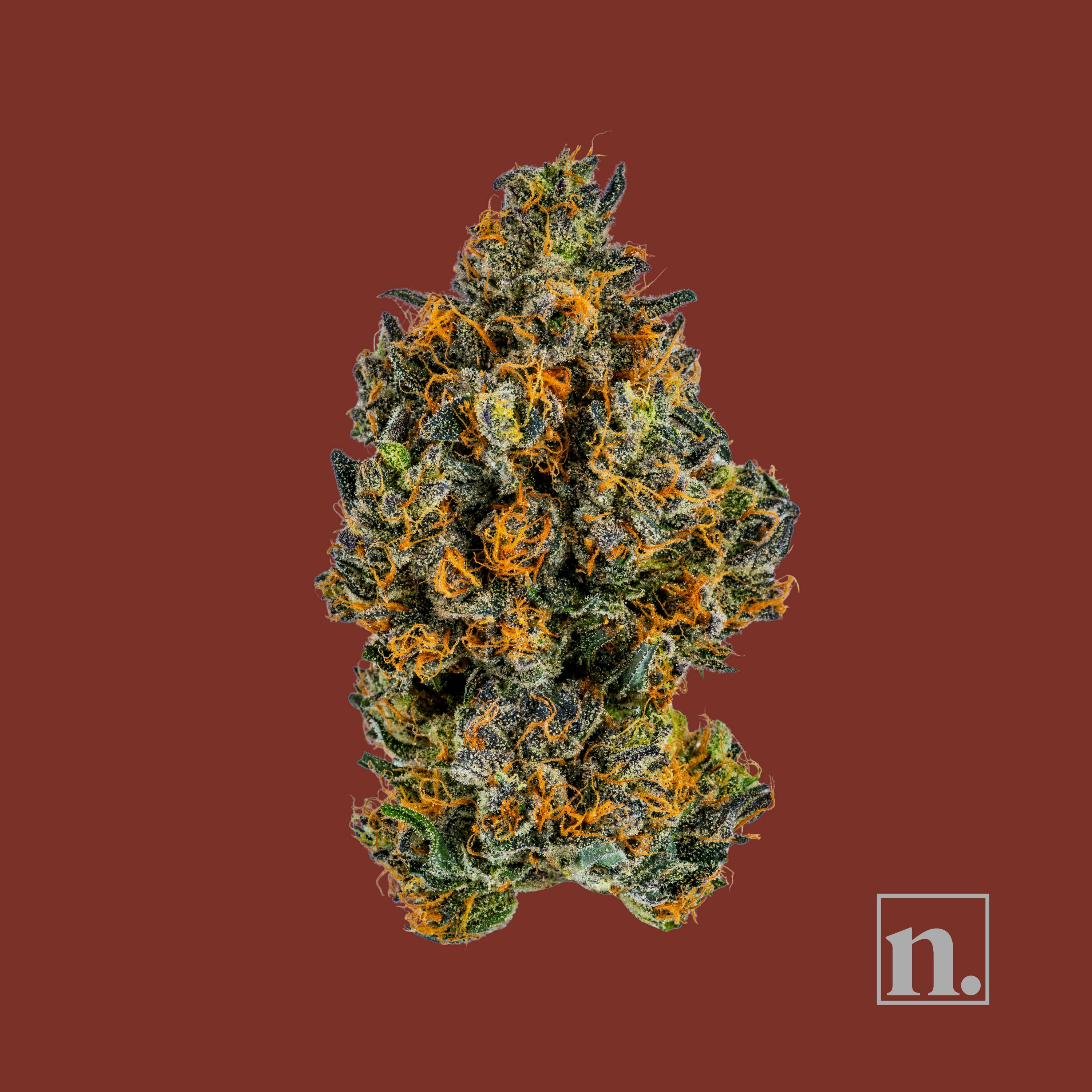 Niche - Sinz - Director's Cut | 3.5 g - 1