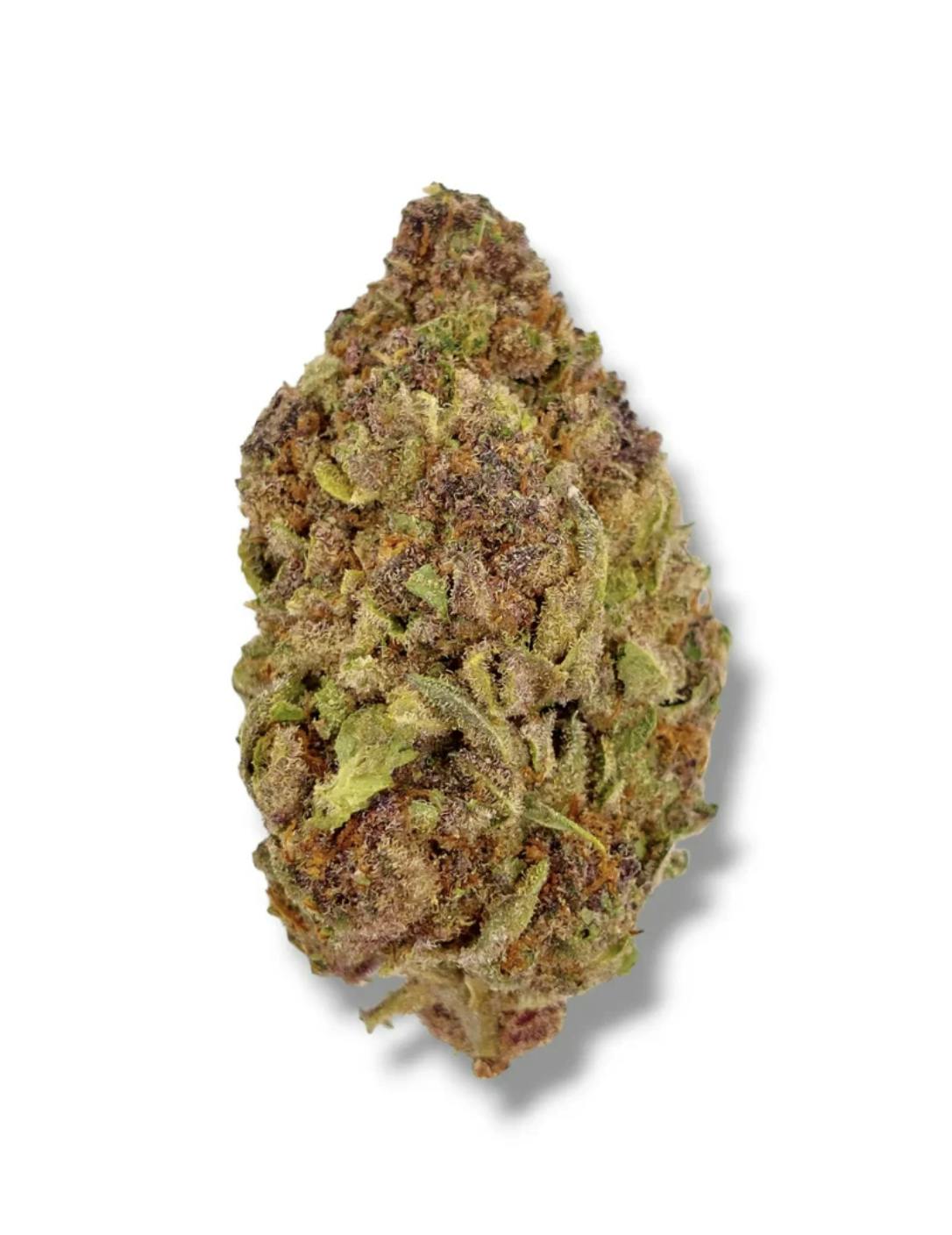 Anchored - Anchored | Tropicana Cookies | Flower | 14G - 1