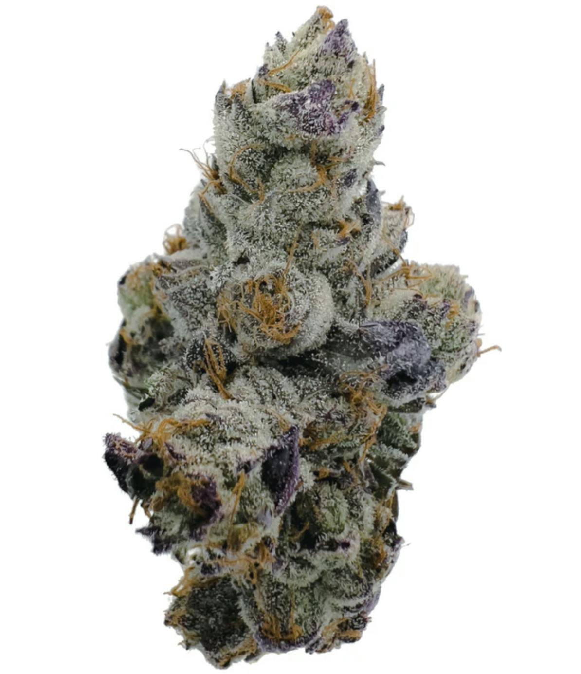 Anchored - Anchored | Runtz | Flower | 14G - 1