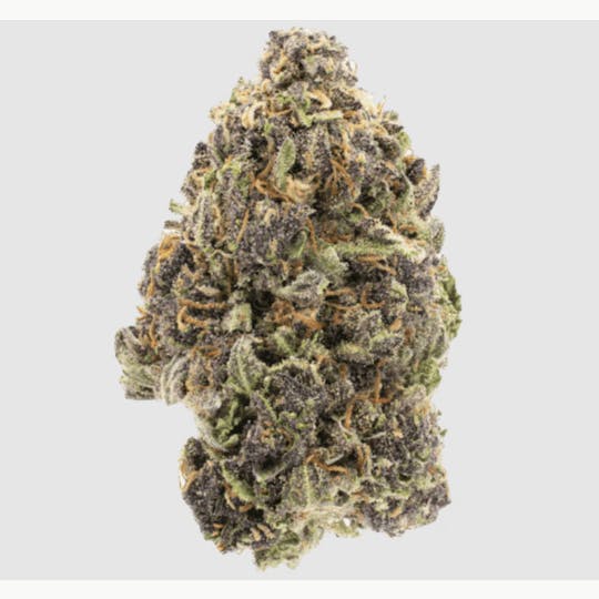 Anchored - Anchored | Grandaddy Purp | Flower | 7G - 1