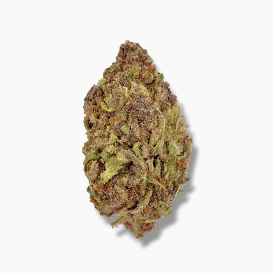 Anchored - Anchored | Tropicana Cookies | Flower | 28G - 1