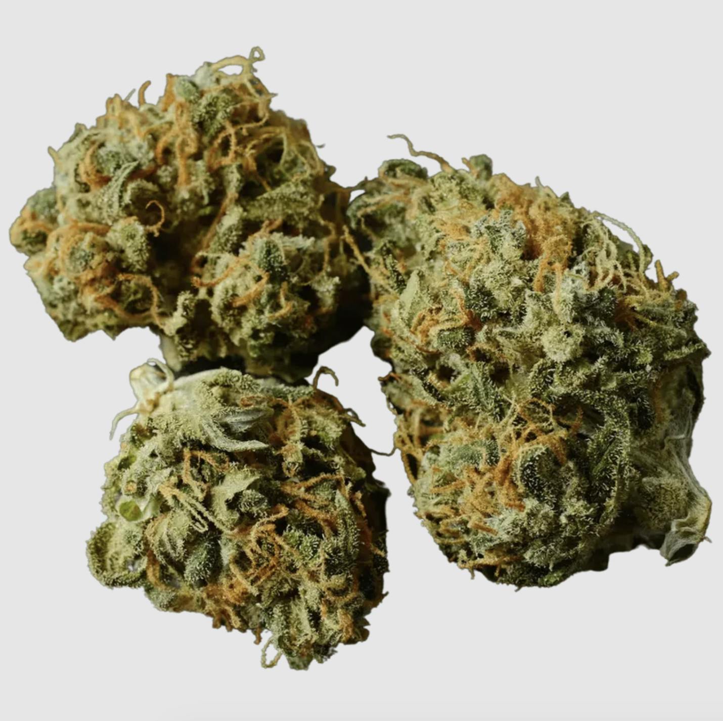 Anchored - Anchored | GG | Flower | 7G - 1