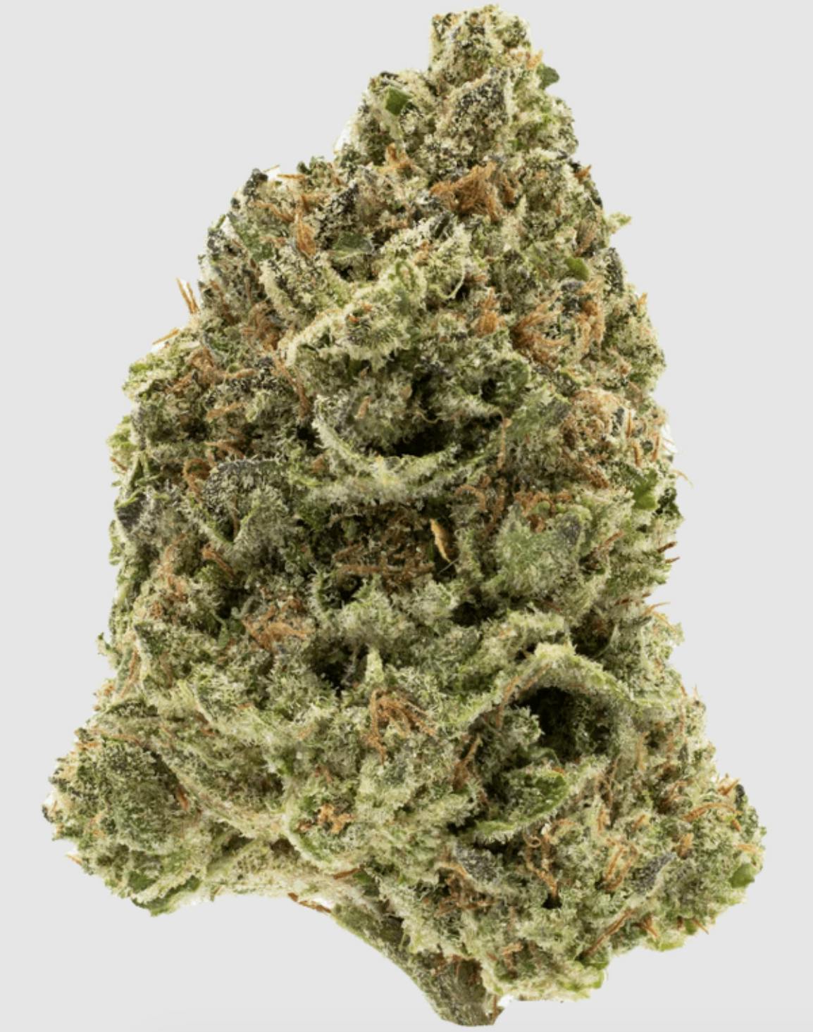 Anchored - Anchored | Wedding Cake | Flower | 7G - 1