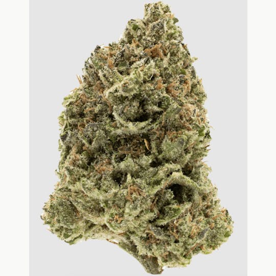 Anchored - Anchored | Wedding Cake | Flower | 7G - 1