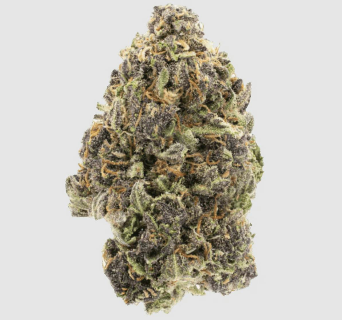 Anchored - Anchored | Grandaddy Purp | Flower | 14G - 1