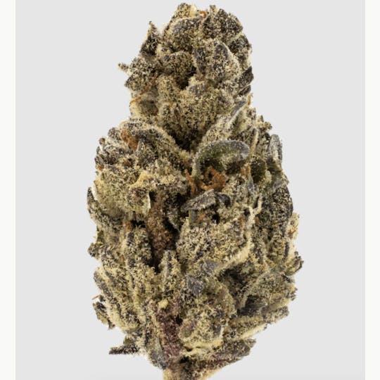 Anchored - Anchored | Gelato | Flower | 28G - 1