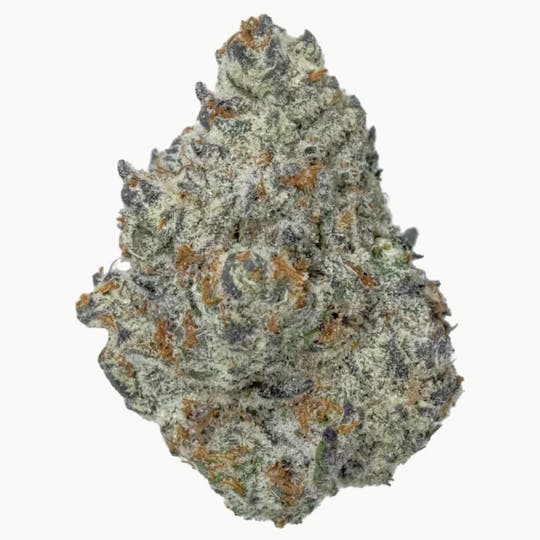 Anchored - Anchored | Ice Cream Cookies | Flower | 7G - 1