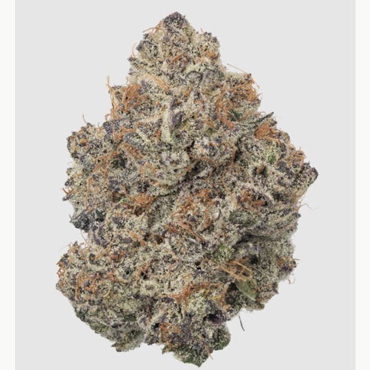 Anchored - Anchored | Lemon Cherry Gelato | Flower | 14G - 1