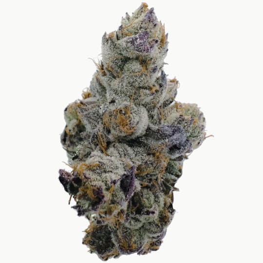 Anchored - Anchored | Runtz | Flower | 7G - 1