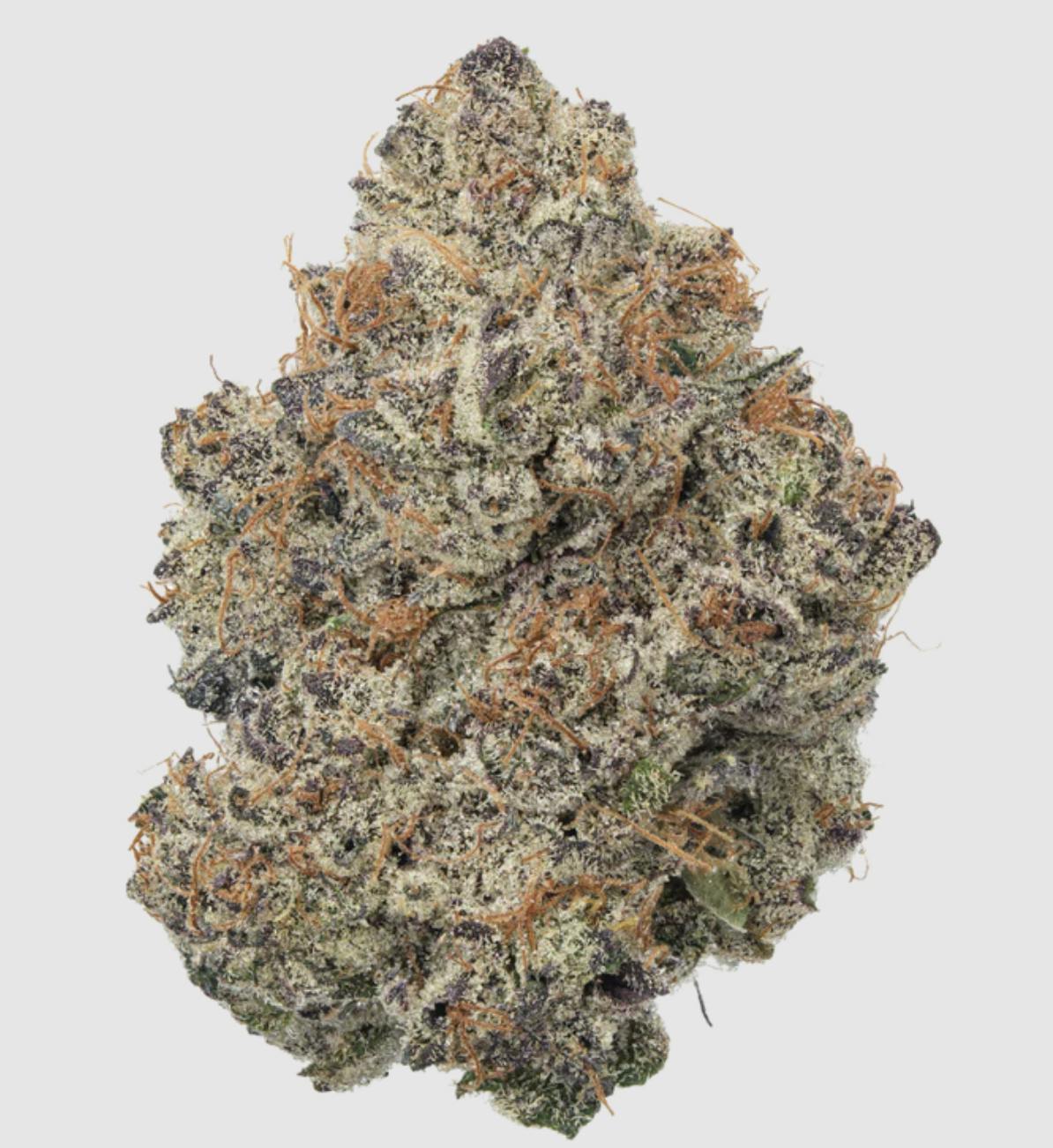 Anchored - Anchored | Lemon Cherry Gelato | Flower | 7G - 1