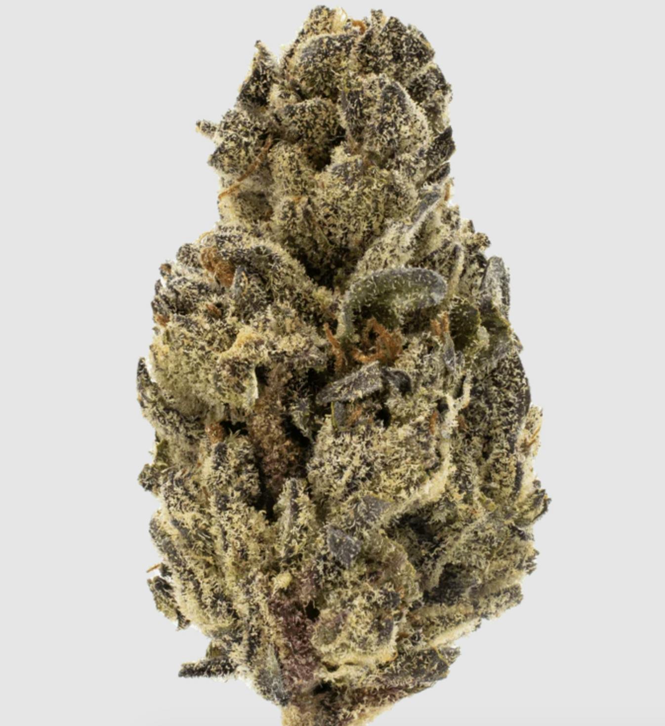 Anchored - Anchored | Gelato | Flower | 7G - 1