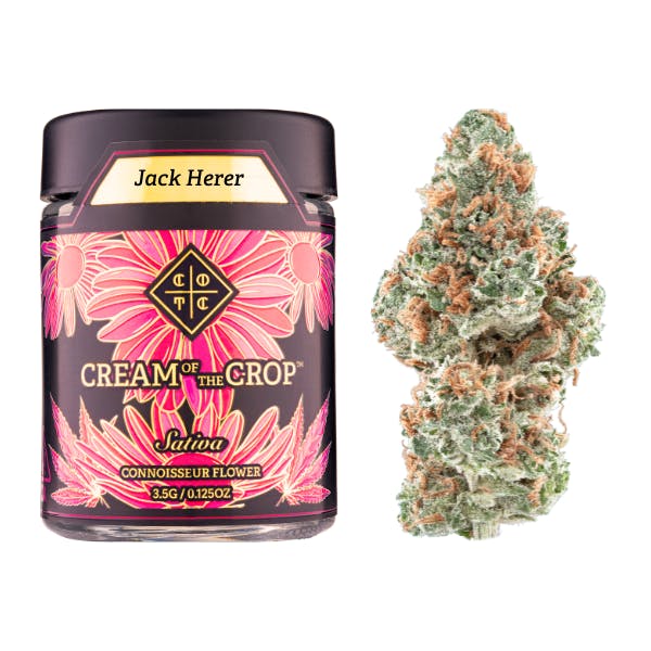 Cream of the Crop - Jack Herer | 3.5g - 1
