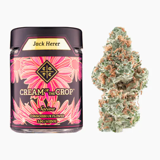 Cream of the Crop - Jack Herer | 3.5g - 1